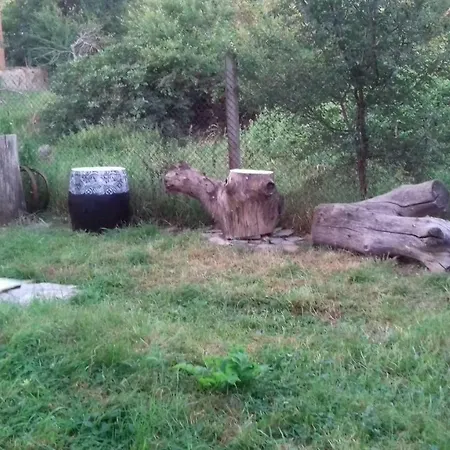 Pensiune Alba *